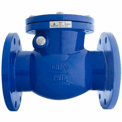 Válvula Check de Hierro Fundido